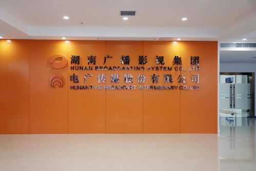 電廣傳媒上半年凈利潤4.71億創(chuàng)紀(jì)錄，藝術(shù)策劃與內(nèi)容生態(tài)協(xié)同發(fā)展成亮點(diǎn)